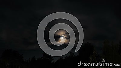 Lune de nuit se levant sur l'horizon au-dessus des arbres et des nuages Laps de temps clips vidéos Lune de nuit se levant sur l'horizon au-dessus des arbres et des nuages Laps de temps clips vidéos