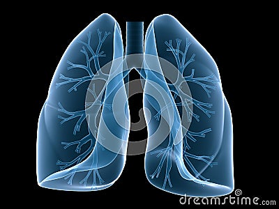 Lung and bronchi Cartoon Illustration