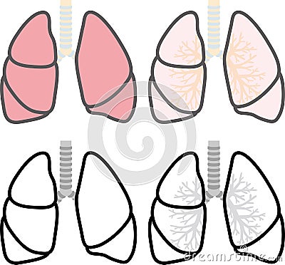 Lung cross-sectional view Stock Photo