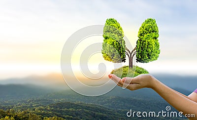 Lung green tree-shaped images, medical concepts, autopsy, 3D display and animals as an element Stock Photo