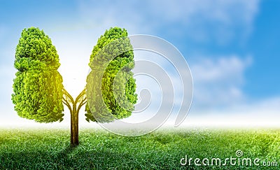 Lung green tree-shaped images, medical concepts, autopsy, 3D display and animals as an element Stock Photo