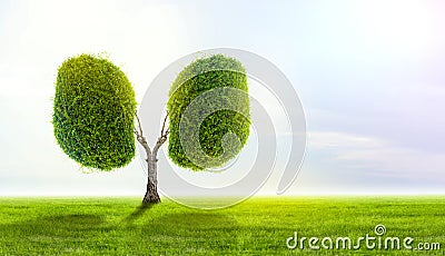 Lung green tree-shaped images, medical concepts, autopsy, 3D display and animals as an element Stock Photo