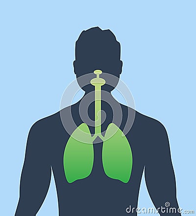 Lung human icon, respiratory system healthy lungs anatomy flat medical organ icon Vector Illustration
