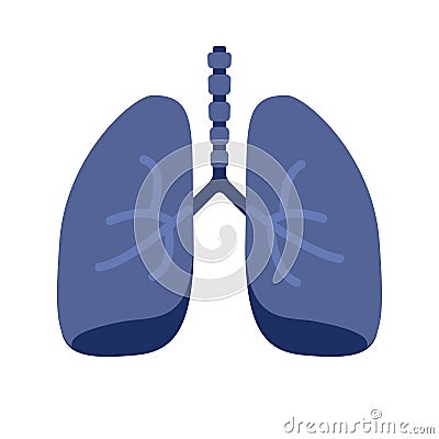 Lung or human lungs icon with bronchial system vector flat cartoon illustration isolated on white background Vector Illustration