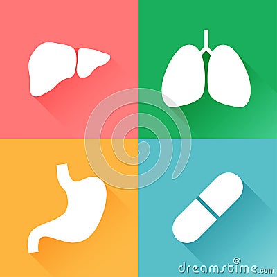 Lung, liver, stomach, capsule Vector Illustration