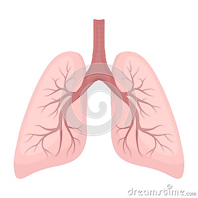 Lungs icon in cartoon style on white background. Organs symbol stock vector illustration. Vector Illustration