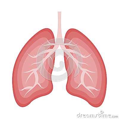 Lungs icon flat style. Human internal organ Isolated on white background. Medicine concept, Anatomy, Logo, Healthcare. Vector Illustration