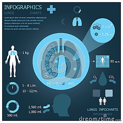 Lungs Infographic Infocharts Vector Illustration