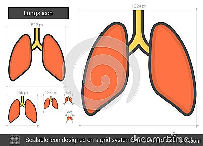 Lungs line icon. Vector Illustration