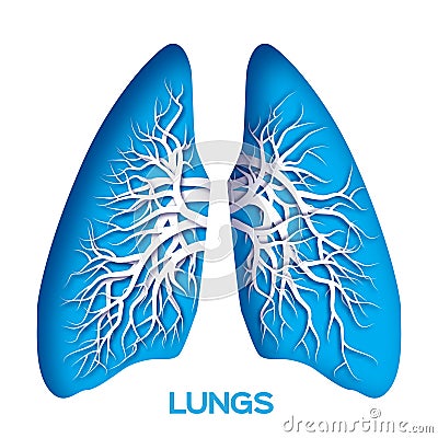 Lungs origami. Cartoon Illustration