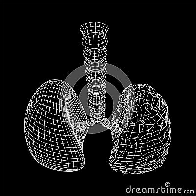 Lungs with trachea bronchi internal organ human Vector Illustration