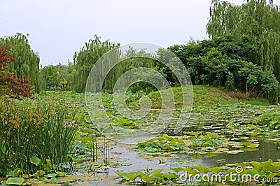 Luoyang Sui and Tang site Botanical Garden Stock Photo