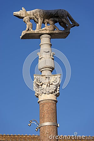 Lupa Senese - Symbol of Siena - Italy Stock Photo