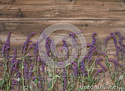 Lupine, wooden photophone with flowers, wooden board with place for text, here is the place for your text Stock Photo