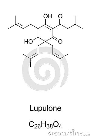 Lupulone, a component of hops, chemical formula and structure Vector Illustration