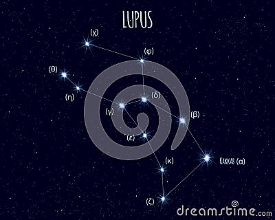 Lupus constellation, vector illustration with the names of basic stars Vector Illustration