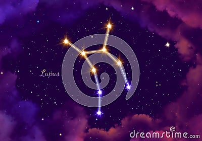 Illustration image of the constellation Lupus Stock Photo