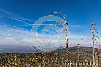 Lusen mountain Bayerischer wald nationalpark. Dried trees on the top of the mountain. View of the valley in the national Bayerisch Stock Photo