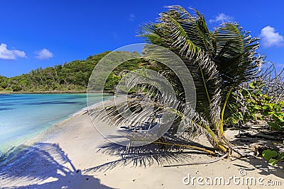 Lush Caribbean tropical plants on empty white sand beach and green blue sea with wooded hills Saltwhistle Bay Mayreau Grenadines Stock Photo