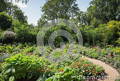 Lush and diverse permaculture garden brimming with various plants and vegetables. AI generated. Stock Photo