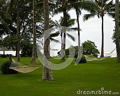 A lush empty lawn with palm trees and hammocks Stock Photo