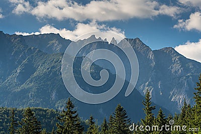 Lush forest enveloped by an enchanting array of trees, with majestic mountains in the backdrop Stock Photo
