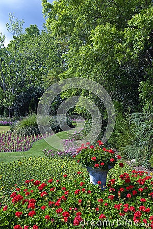 Lush garden Stock Photo