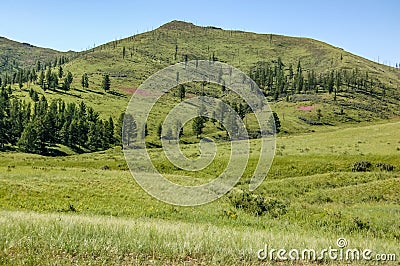 Lush grasslands of central Mongolian steppe Stock Photo