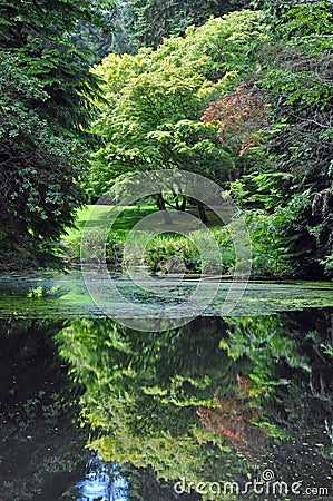 Lush green botanical garden Stock Photo