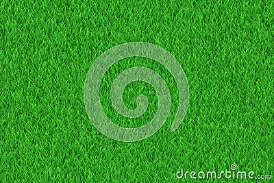 Lush green freshness grass texture Stock Photo