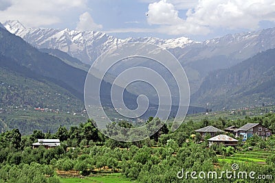 Lush green himalayan valley and snow peaks Manali India Stock Photo