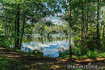 Lush green lakeside view from a sunny summer Sweden Stock Photo