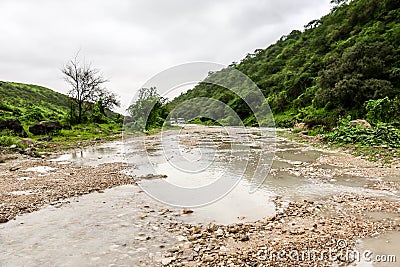 Lush green landscape, trees and foggy mountains in Ayn Khor tourist resort, Salalah, Oman Stock Photo