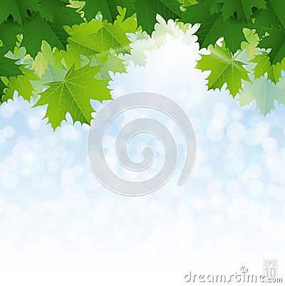 Lush green maple leaves against the blue sky. Vector Illustration