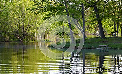 Lush green park and tree reflections Stock Photo