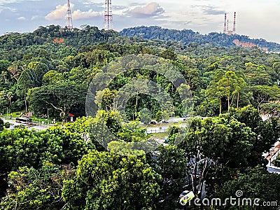 Lush green spaces of hill parks in Singapore Stock Photo