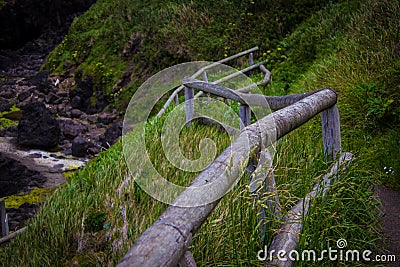 Lush hillside trail to Devil's Churn in Cape Perpetua, Oregon Stock Photo