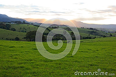 Lush green hills landscape in Australia at sunset Stock Photo