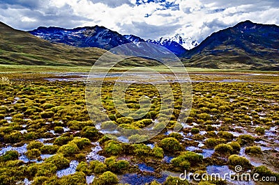 Lush natural landscape Stock Photo