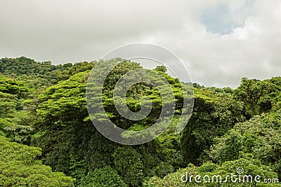 Lush rainforest canopy Monteverde Costa Rica Stock Photo