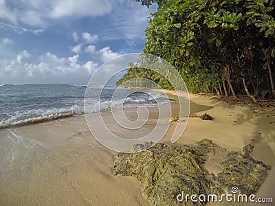 Sandy Coast of Manzanillo Beach in Limon, Costa Rica Stock Photo