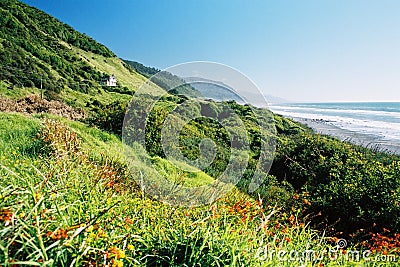 Lush seaside landscape Stock Photo