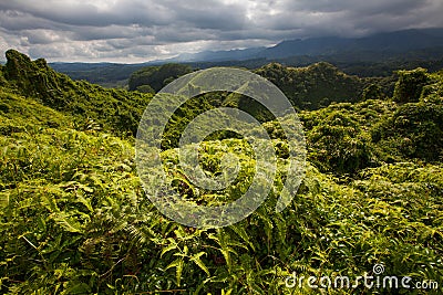 Lush tropical forest, storm clouds Stock Photo