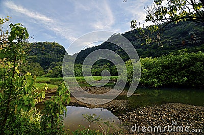 Lush Tropical River and Mountains Stock Photo