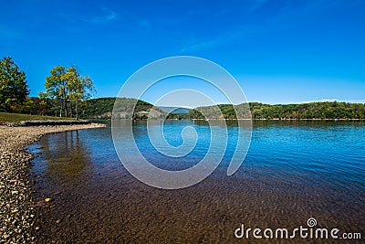 Lush Vegetation Around Raystown Lake, in Pennsylvania During Sum Stock Photo