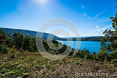 Lush Vegetation Around Raystown Lake, in Pennsylvania During Sum Stock Photo