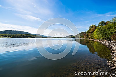 Lush Vegetation Around Raystown Lake, in Pennsylvania During Sum Stock Photo