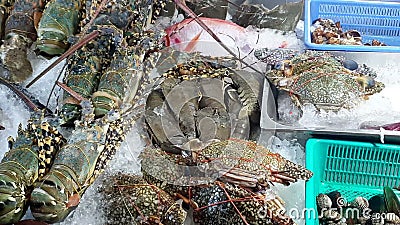 Lussuosi prodotti alimentari di strada prodotti in mare su ghiaccio in thailandia e all'aragosta jumbo gamberetti granchio e pesce archivi video Lussuosi prodotti alimentari di strada prodotti in mare su ghiaccio in thailandia e all'aragosta jumbo gamberetti granchio e pesce archivi video