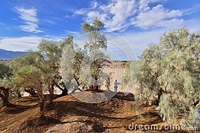 The Lut Desert locate near Kerman, Iran Stock Photo