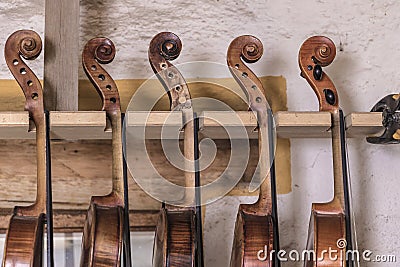 Luthier Stock Photo